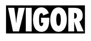 vigor-2